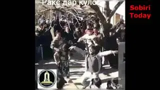 ТОП 5 - Раксхои хайвони дар туй