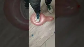 188 - stomp to pop red balloon @shorts @balloons @luftballons
