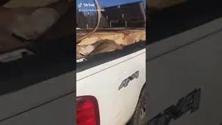 Deer Hunting 2020 hunting season