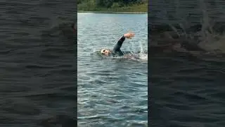 Учимся плавать на открытой воде | Гидрокостюм TYR для открытой воды 