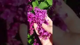 26 мая 2024 г.