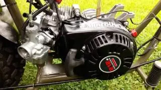 Custom 212cc baja warrior cruiser
