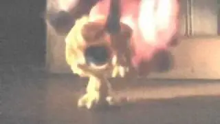 LPS music vid-Take it off