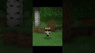 Minecraft Poy Poy Trend 🔥 