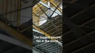 Tbe biggest fan of the world 😮😮