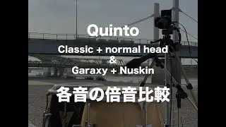 ２つのコンガ（キント）の倍音比較２