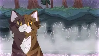 Коты Воители. Смерти.