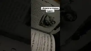 Авторский переплет из березы, шелковая лента-ляссе, корешок из кожи, ручная роспись кролика.  #книги