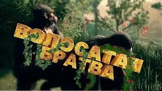 Волосатая братва (нарезка по играм)