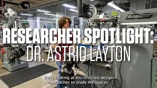 Researcher Spotlight: Dr. Astrid Layton
