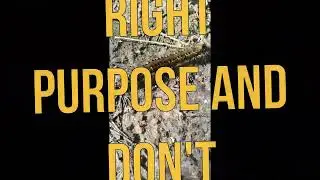 Цель жизни \ Find the right purpose and don't deviate!