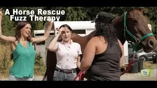 Acts of Kindness: A Horse Rescue Story