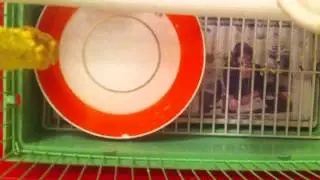 Alice is having a bath first time