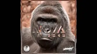 Noya -DO4H  Free