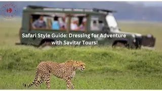 Safari Style Guide