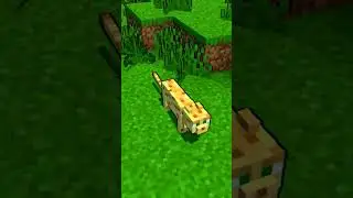 САМЫЕ БЕСЯЧИЕ ФАКТЫ ПРО МАЙНКРАФТ☠️😆(2 часть) 