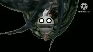 White Ball Stuck Bob Bob Beb | Bob Bob Beb Meme From Animation World 76😱