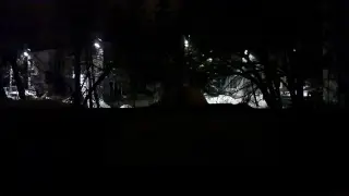 Bird feeder watch cam. Russia