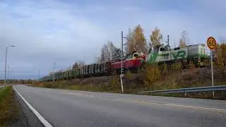 Kerimäen puupässi syksyllä 2018