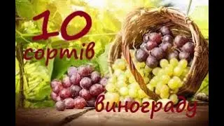 Моя десятка сортів винограду