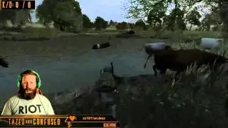 Stampede cows, stampede! :D