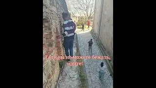Мотивация дня! 