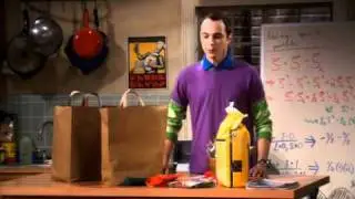 The Big Bang Theory   Season 1   Episode 03   We're getting a cat
