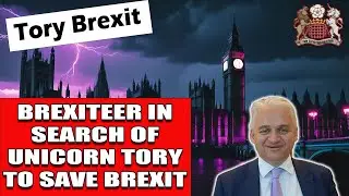 Brexiteer Wants Contradictory Tory Party to Save Brexit