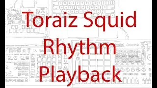 Toraiz Squid - Overview of rhythm playback