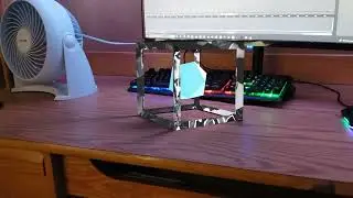 The Cubion