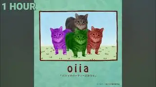Chiikawa pajama parties song oiiaoiia cat version 1 HOUR (ちいかわ パジャマパーティーズのうた)