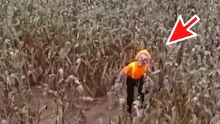 DRON TASVIRGA OLGAN QIZIQARLI VIDEOLAR