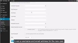 WordPress - Managing Users