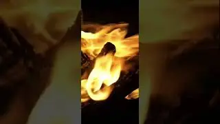 Crackling Fireplace Sounds | 3 Hours of Cozy Ambience for Relaxation, Sleep & Study #fireplace #asmr