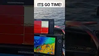 The wait is over! #garmin #hummingbird  #lundboats #fishing #laketrout