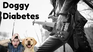 Doggy Diabetes The Official Music Video