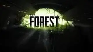 Как исправить  ошибку при запуске игры TheForest