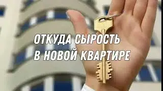 Какие ошибки совершают новые собственники