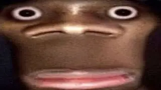Very funny memes, id you laugh you lose 😂