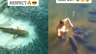 Respect Video