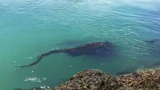 Hiking Deception Pass