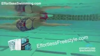 Having A Smooth Freestyle Entry