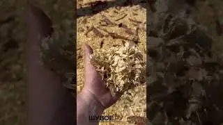 Мульча. Опилки. Стружка. Кора.