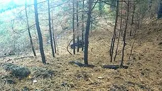 RGT EX86190  проходимость космос