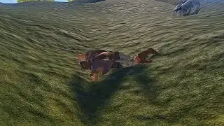 ГАЙД КАК ПОТЕРЯТЬ КИТ ХОМ В РАСТЕ (210DevBlog)