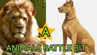 Кто сильнее!Смертельная битва Африканский лев против Родезийский риджбек//батл животных//
