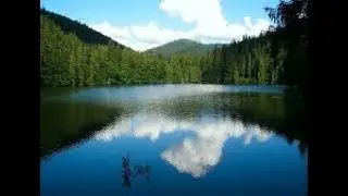 Счастье для рыбака!!!!!!!!!!!!!!!!!!!!!!
