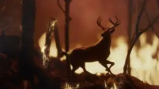 El aroma de la conciencia, la nueva campaña de The Juju para Greenpeace