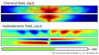 Chemo Marangoni driven oscillations