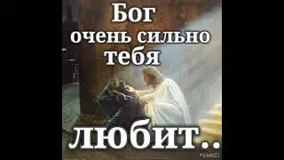 Я ВЕРНЫЙ ДРУГ